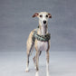 GASU Variété / [Stone Blue] Structured Skin-friendly Breathable Adjustable Harness