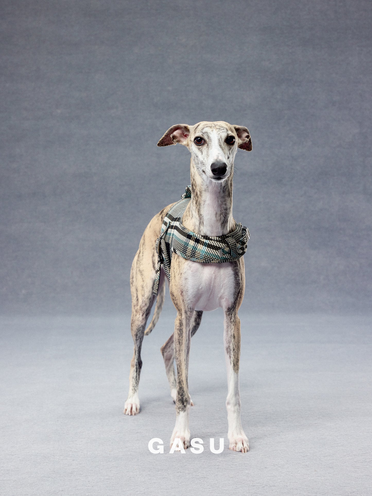 GASU Variété / [Stone Blue] Structured Skin-friendly Breathable Adjustable Harness