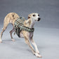 GASU Variété / [Stone Blue] Structured Skin-friendly Breathable Adjustable Harness