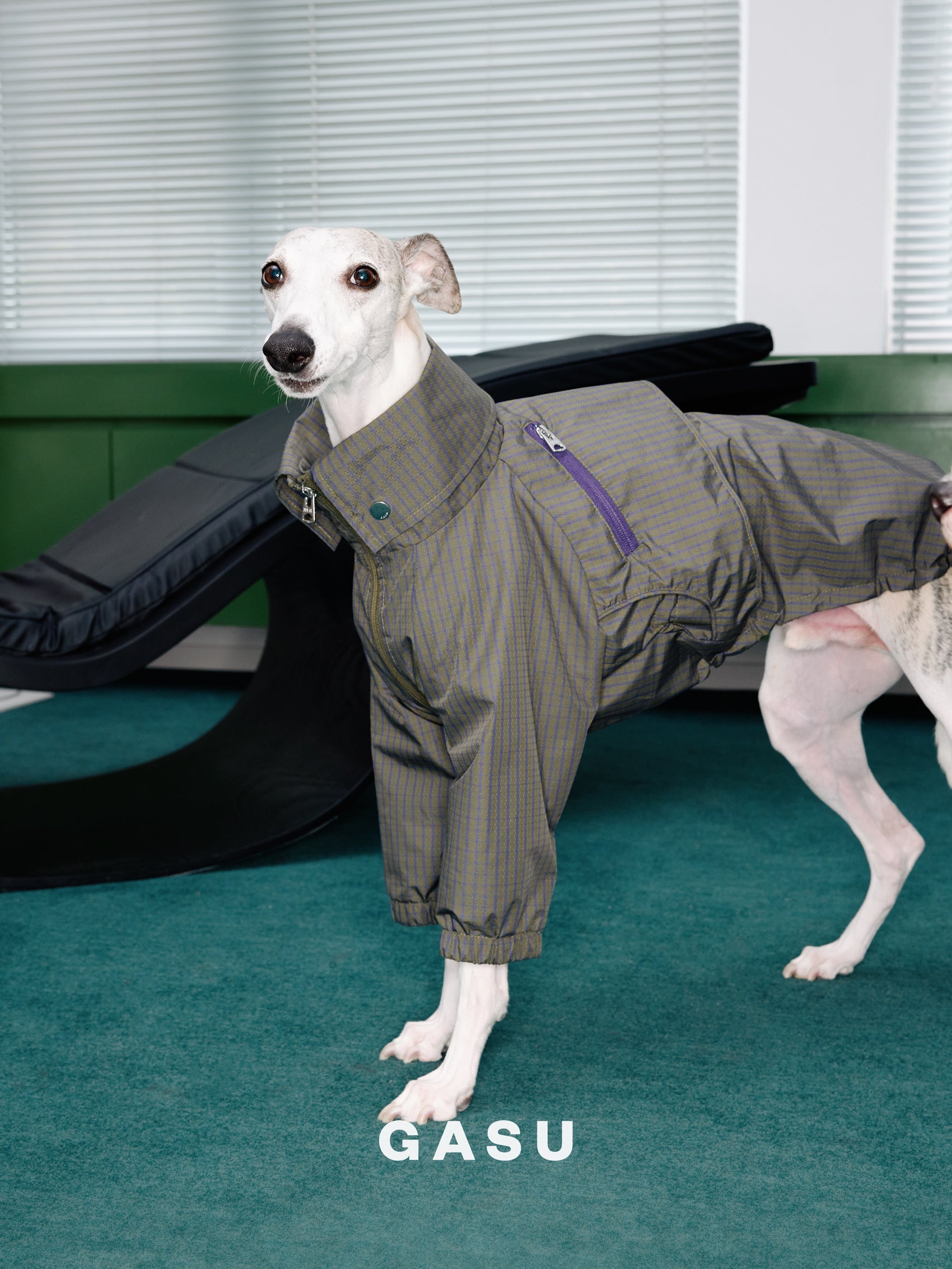 GASU Variété / [Foggy Forest] Waterproof Athletic Cape Jacket