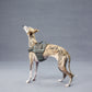 GASU Variété / [Stone Blue] Structured Skin-friendly Breathable Adjustable Harness