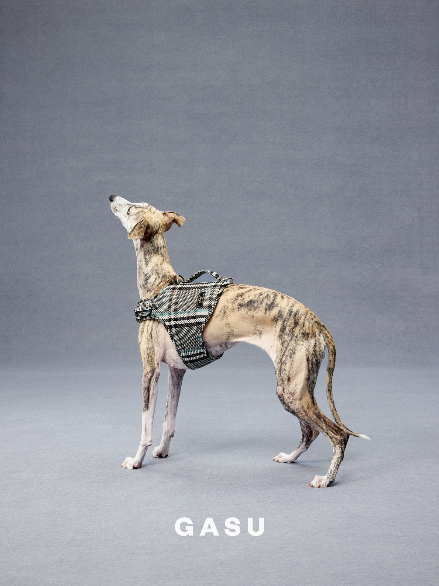 GASU Variété / [Stone Blue] Structured Skin-friendly Breathable Adjustable Harness