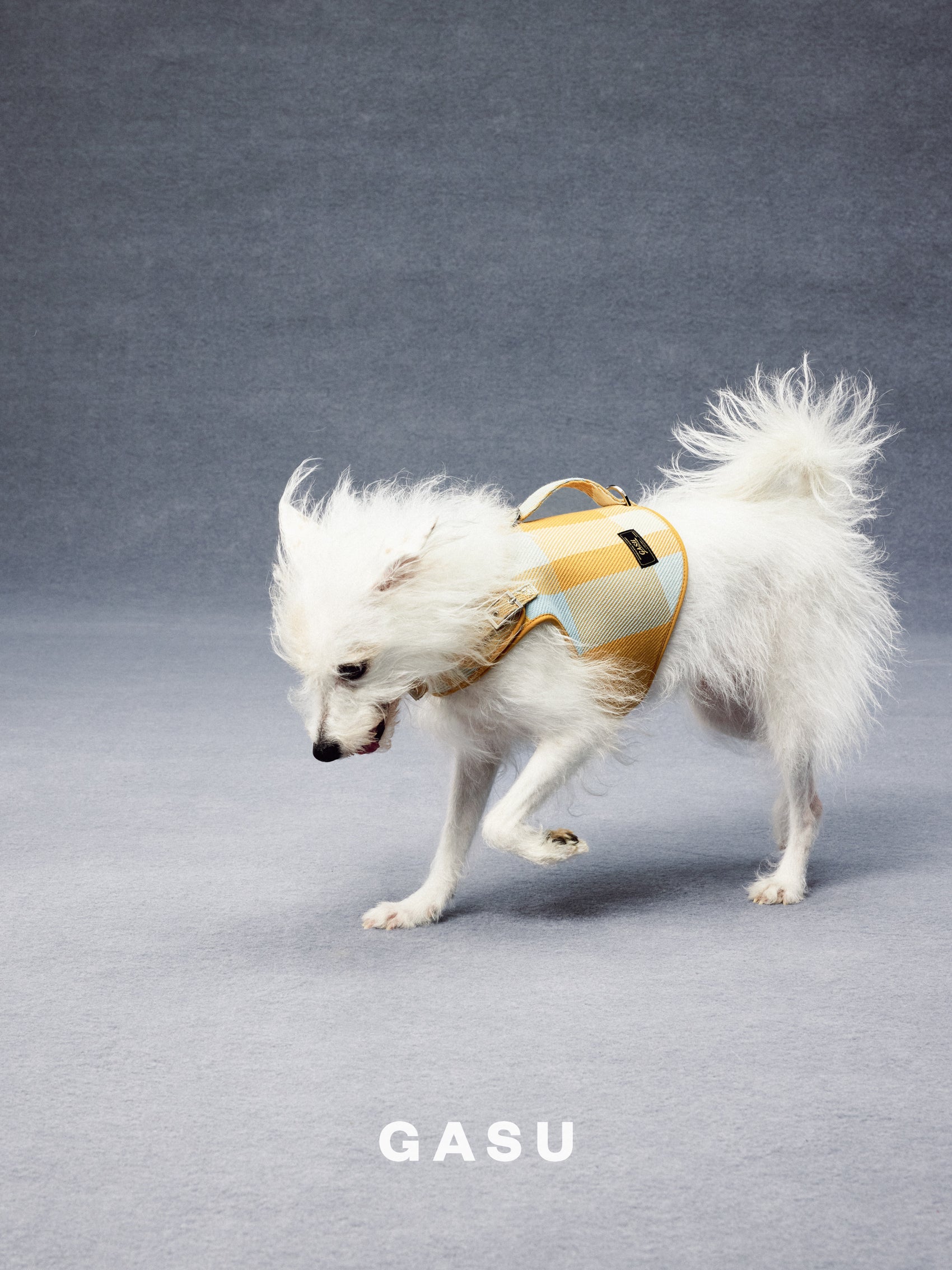 GASU Variété / [Sunwash Plaid] Structured Skin-friendly Breathable Adjustable Harness