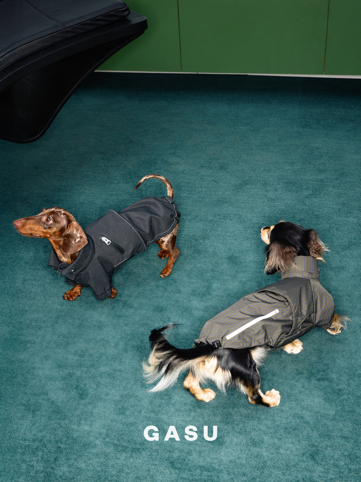 GASU Variété / [Foggy Forest] Waterproof Athletic Cape Jacket