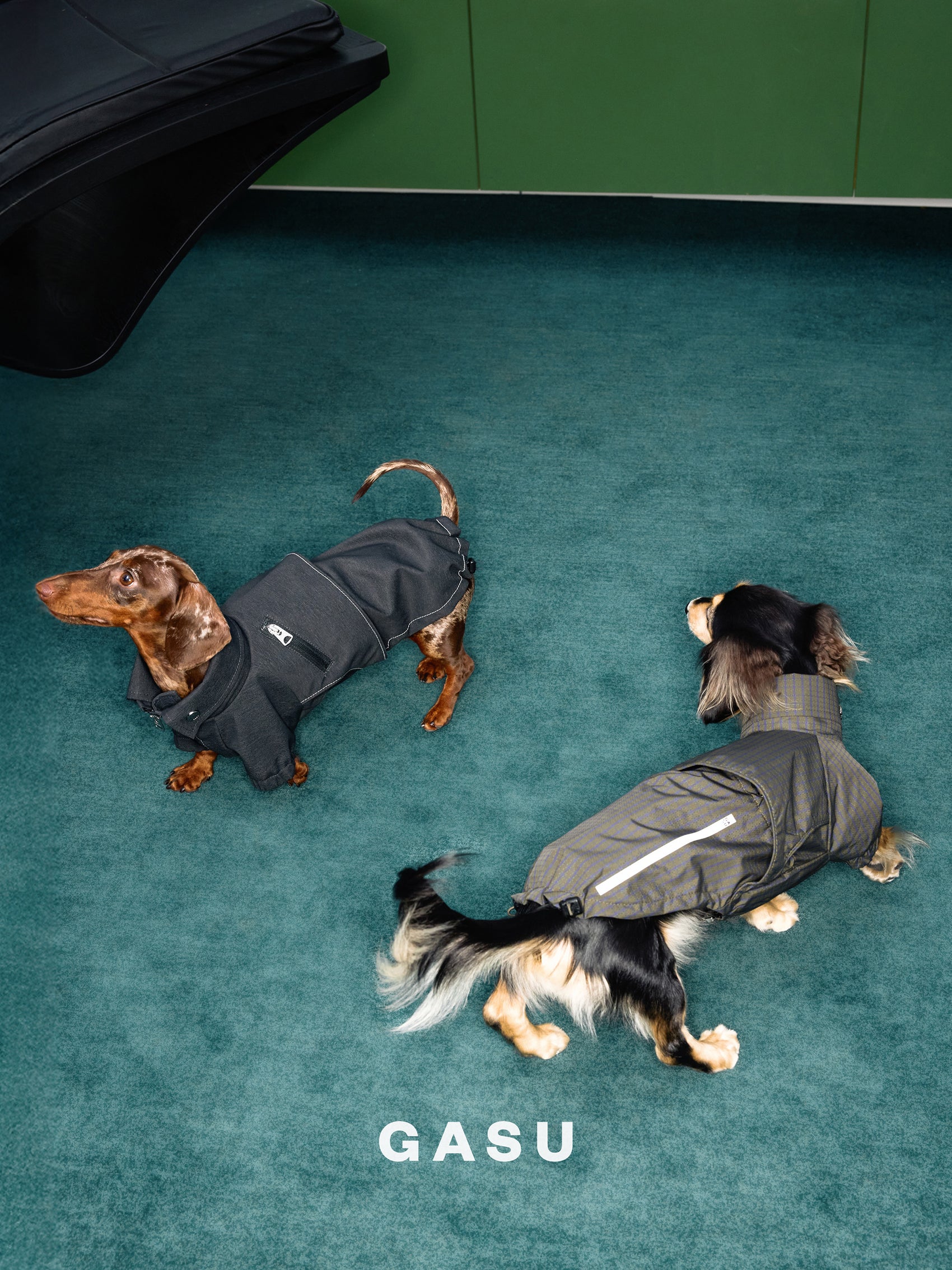 GASU Variété / [Foggy Forest] Waterproof Athletic Cape Jacket