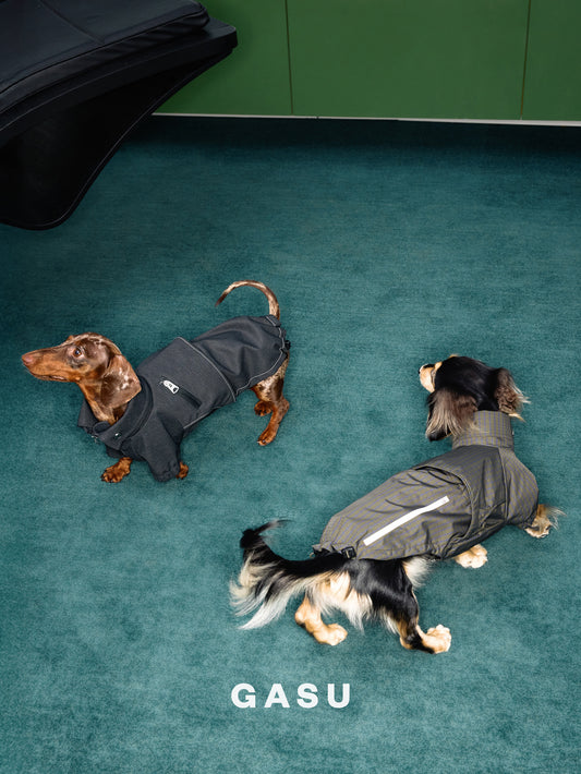 GASU Variété / [Foggy Forest] Waterproof Athletic Cape Jacket