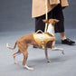 GASU Variété / [Sunwash Plaid] Structured Skin-friendly Breathable Adjustable Harness