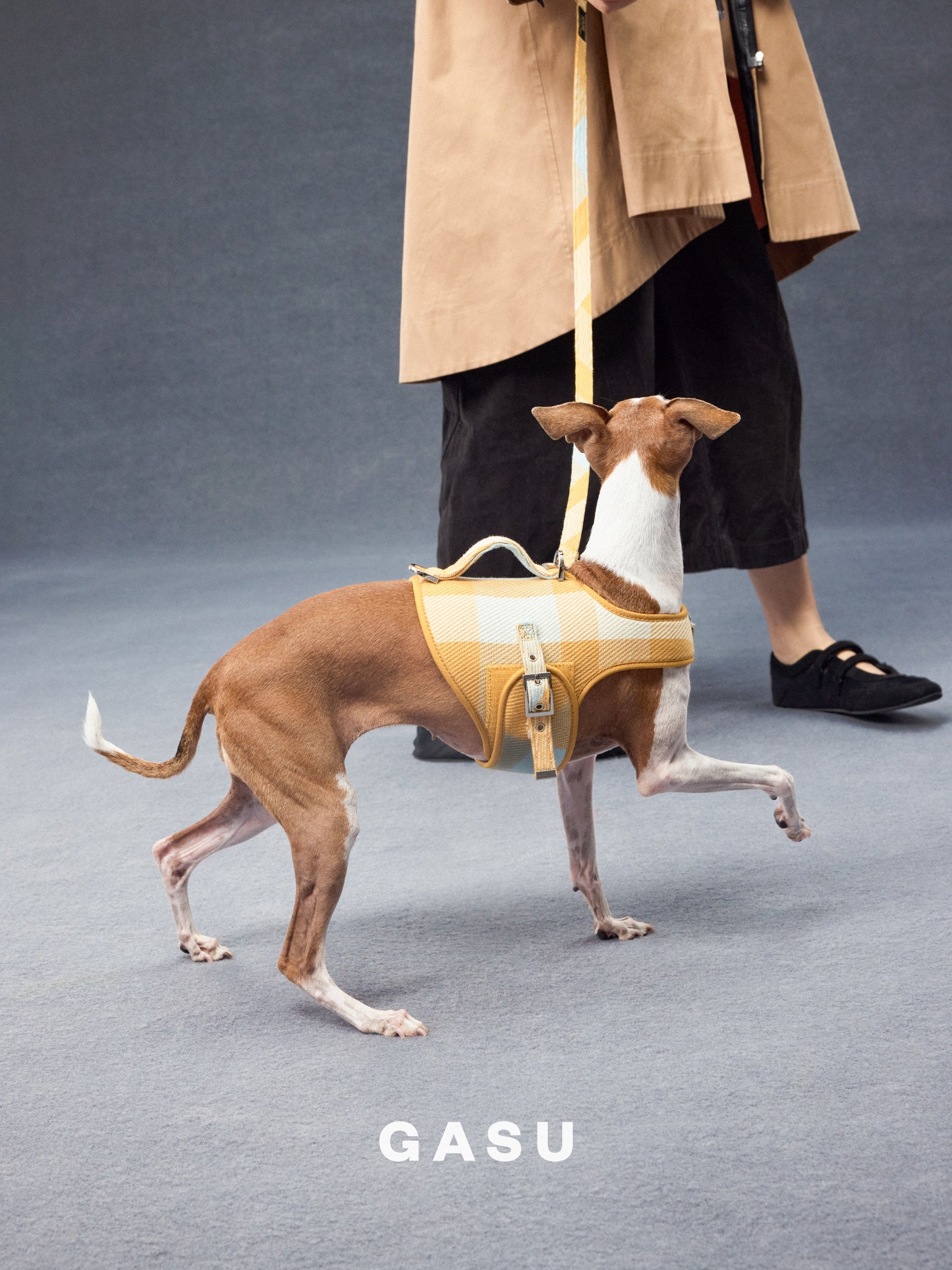 GASU Variété / [Sunwash Plaid] Structured Skin-friendly Breathable Adjustable Harness