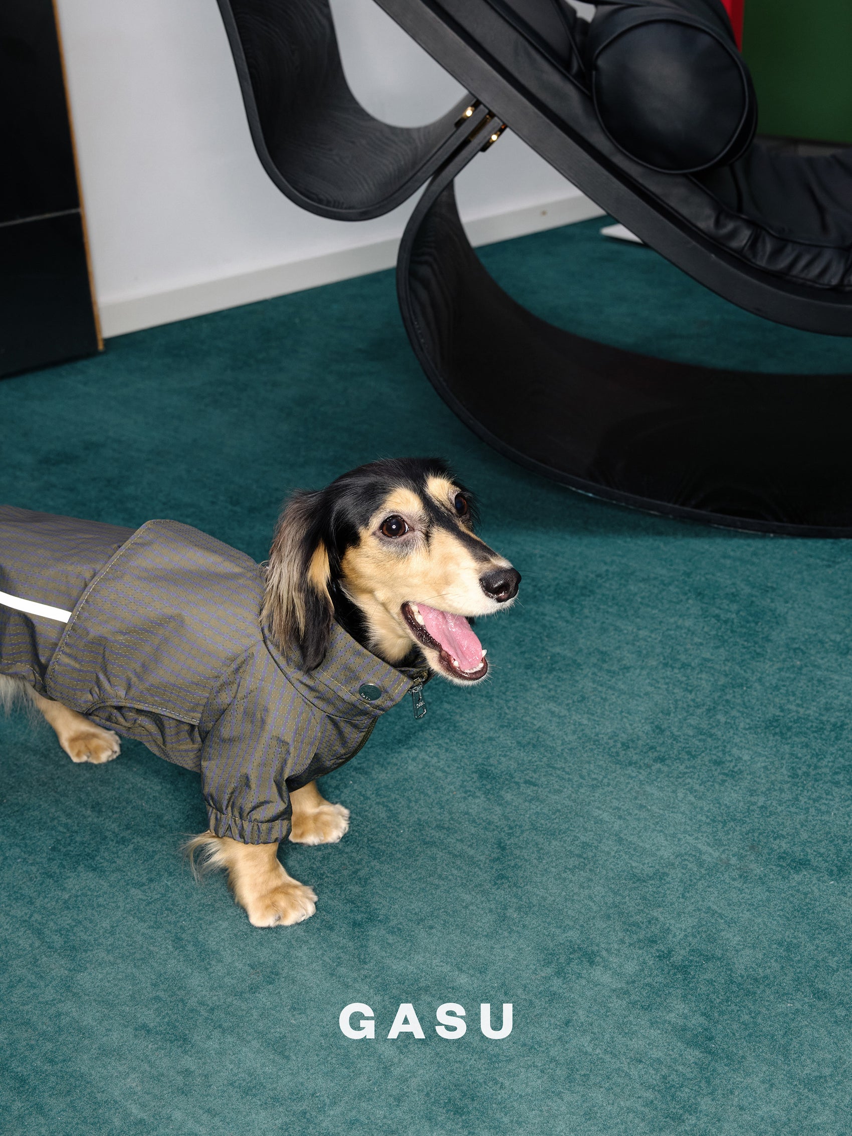 GASU Variété / [Foggy Forest] Waterproof Athletic Cape Jacket