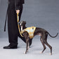 GASU Variété / [Sunwash Plaid] Structured Skin-friendly Breathable Adjustable Harness