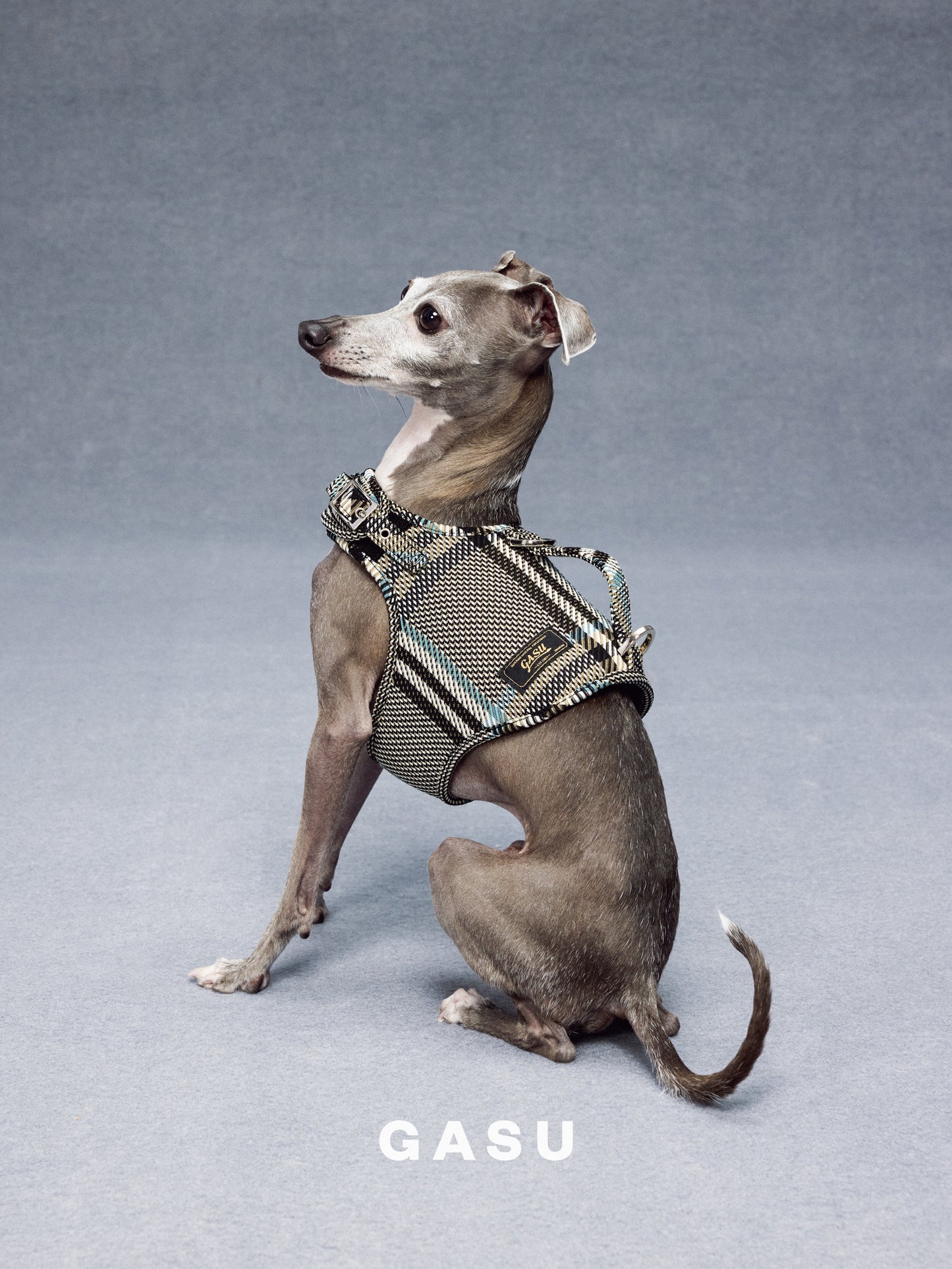 GASU Variété / [Stone Blue] Structured Skin-friendly Breathable Adjustable Harness