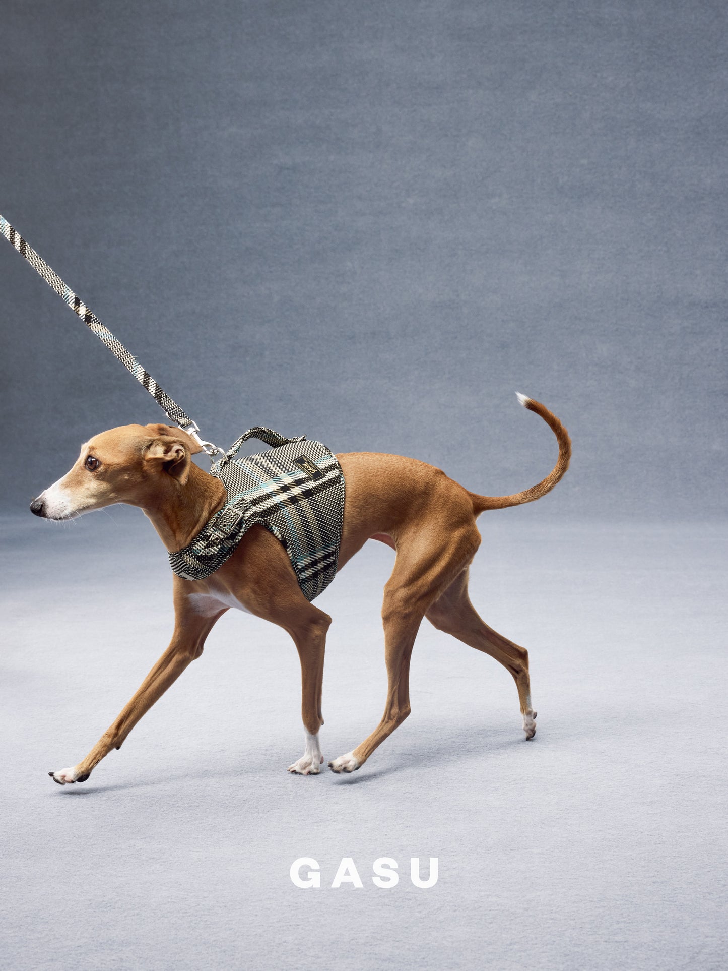 GASU Variété / [Stone Blue] Structured Skin-friendly Breathable Adjustable Harness