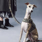GASU Variété / [Stone Blue] Structured Skin-friendly Breathable Adjustable Harness