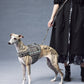 GASU Variété / [Stone Blue] Structured Skin-friendly Breathable Adjustable Harness