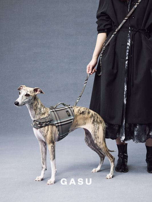 GASU Variété / [Stone Blue] Structured Skin-friendly Breathable Adjustable Harness