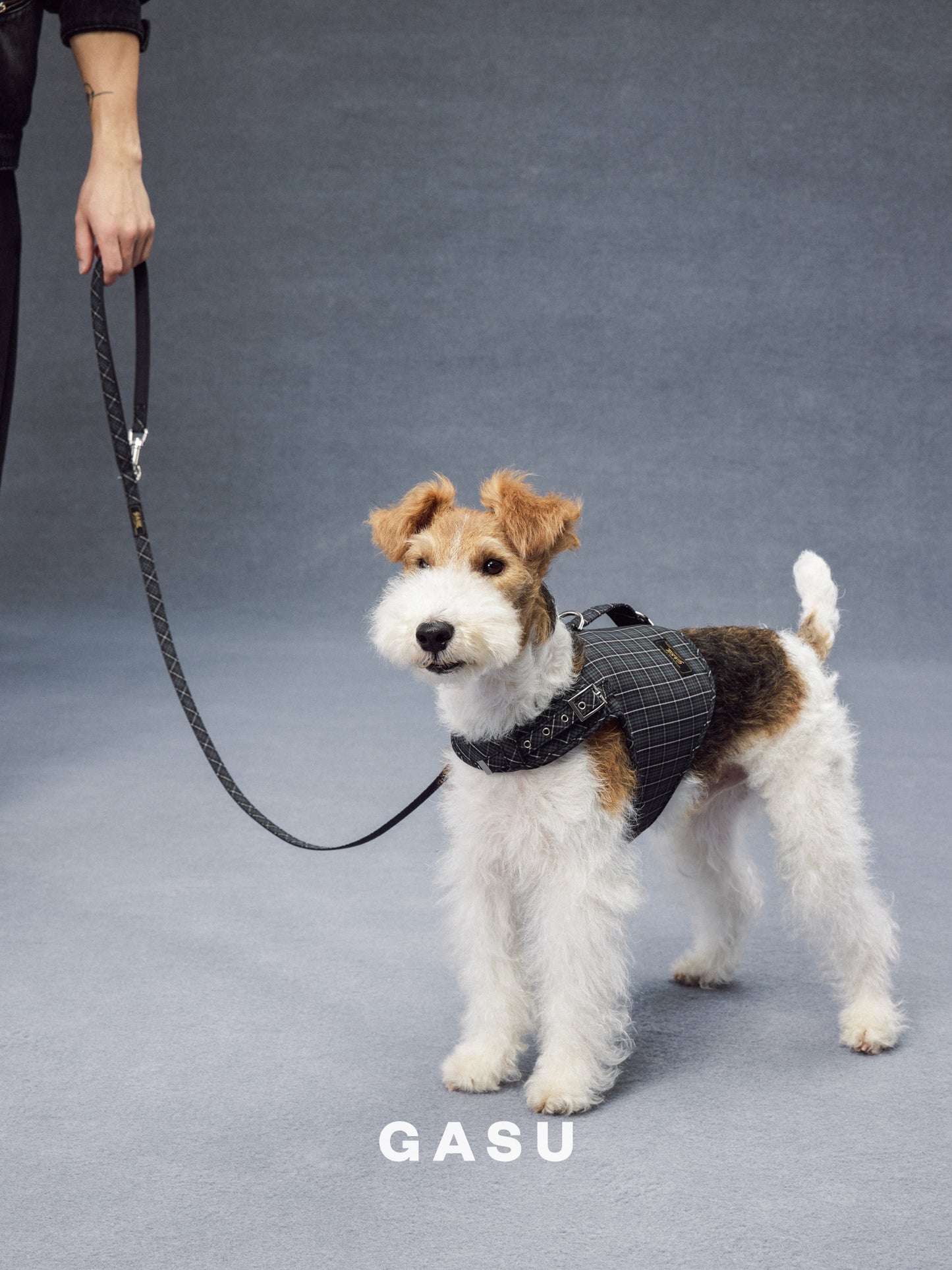 GASU Variété / [Gravel Check] Structured Skin-friendly Breathable Adjustable Harness