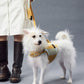 GASU Variété / [Sunwash Plaid] Structured Skin-friendly Breathable Adjustable Harness
