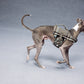 GASU Variété / [Stone Blue] Structured Skin-friendly Breathable Adjustable Harness