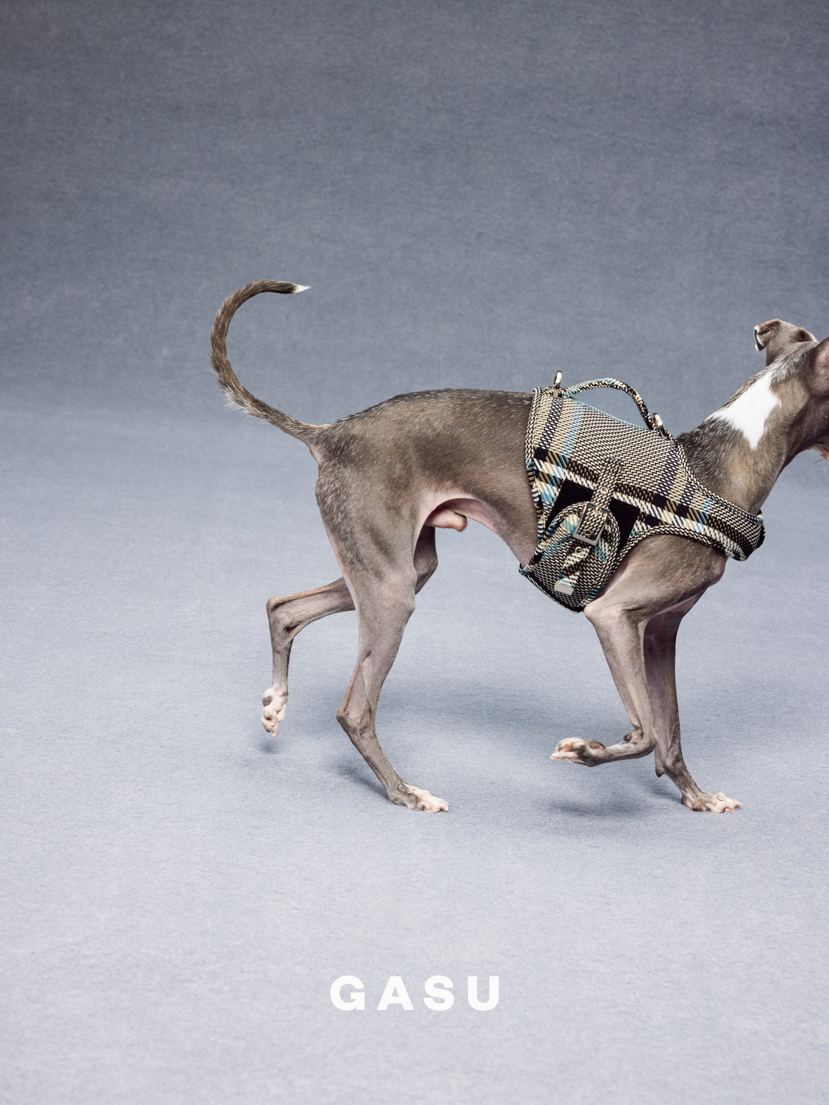 GASU Variété / [Stone Blue] Structured Skin-friendly Breathable Adjustable Harness