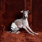 GASU Entourer / [2 colors] Anti-Static Soft Knit Fleece Belly-wrap