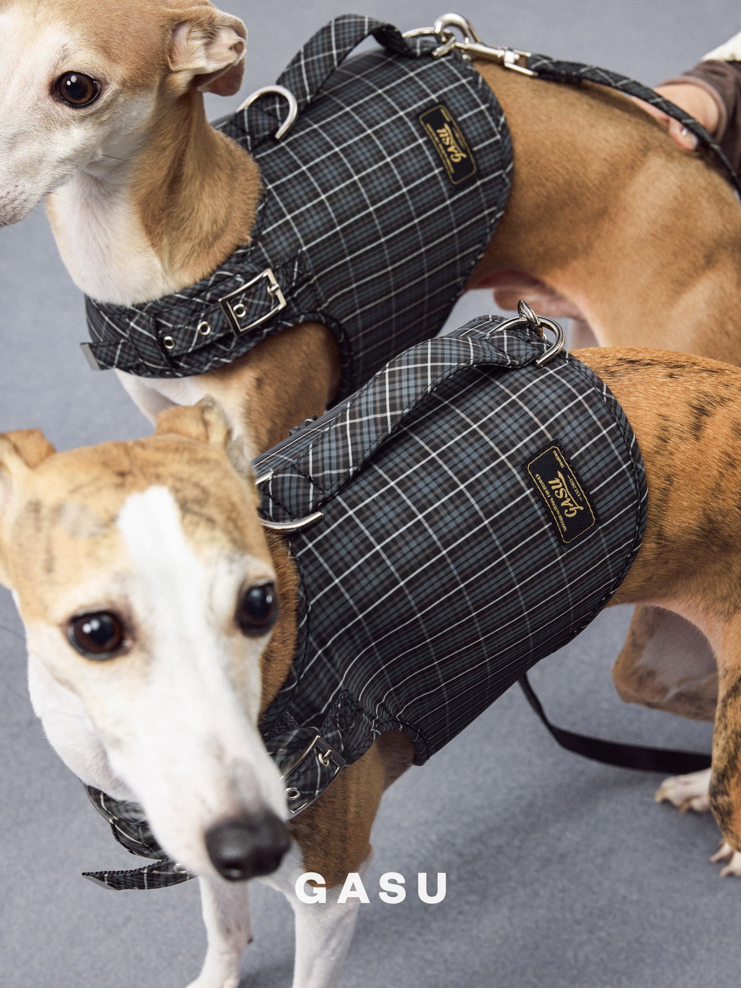 GASU Variété / [Gravel Check] Structured Skin-friendly Breathable Adjustable Harness