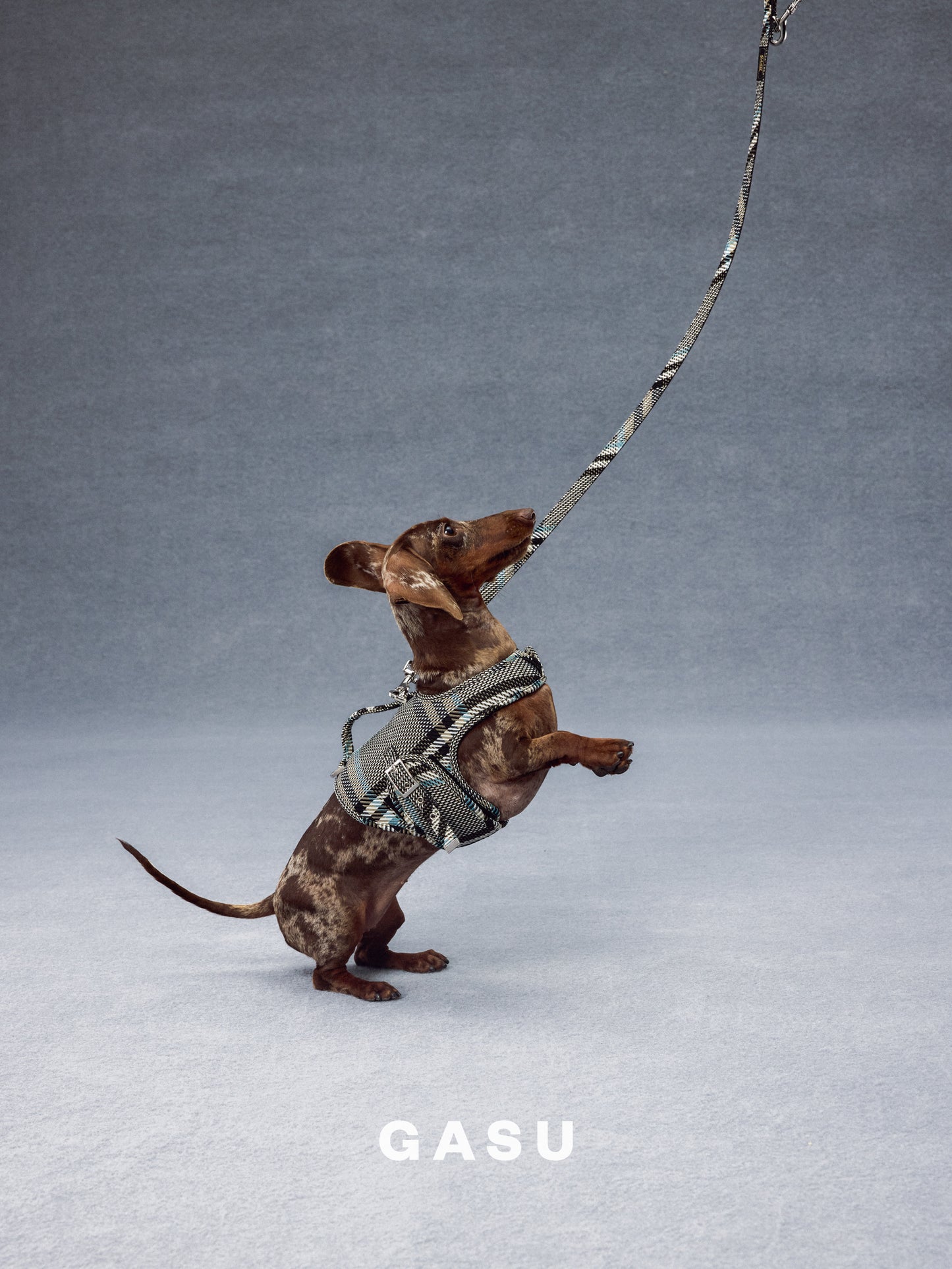 GASU Variété / [Stone Blue] Structured Skin-friendly Breathable Adjustable Harness