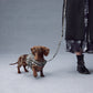 GASU Variété / [Stone Blue] Structured Skin-friendly Breathable Adjustable Harness