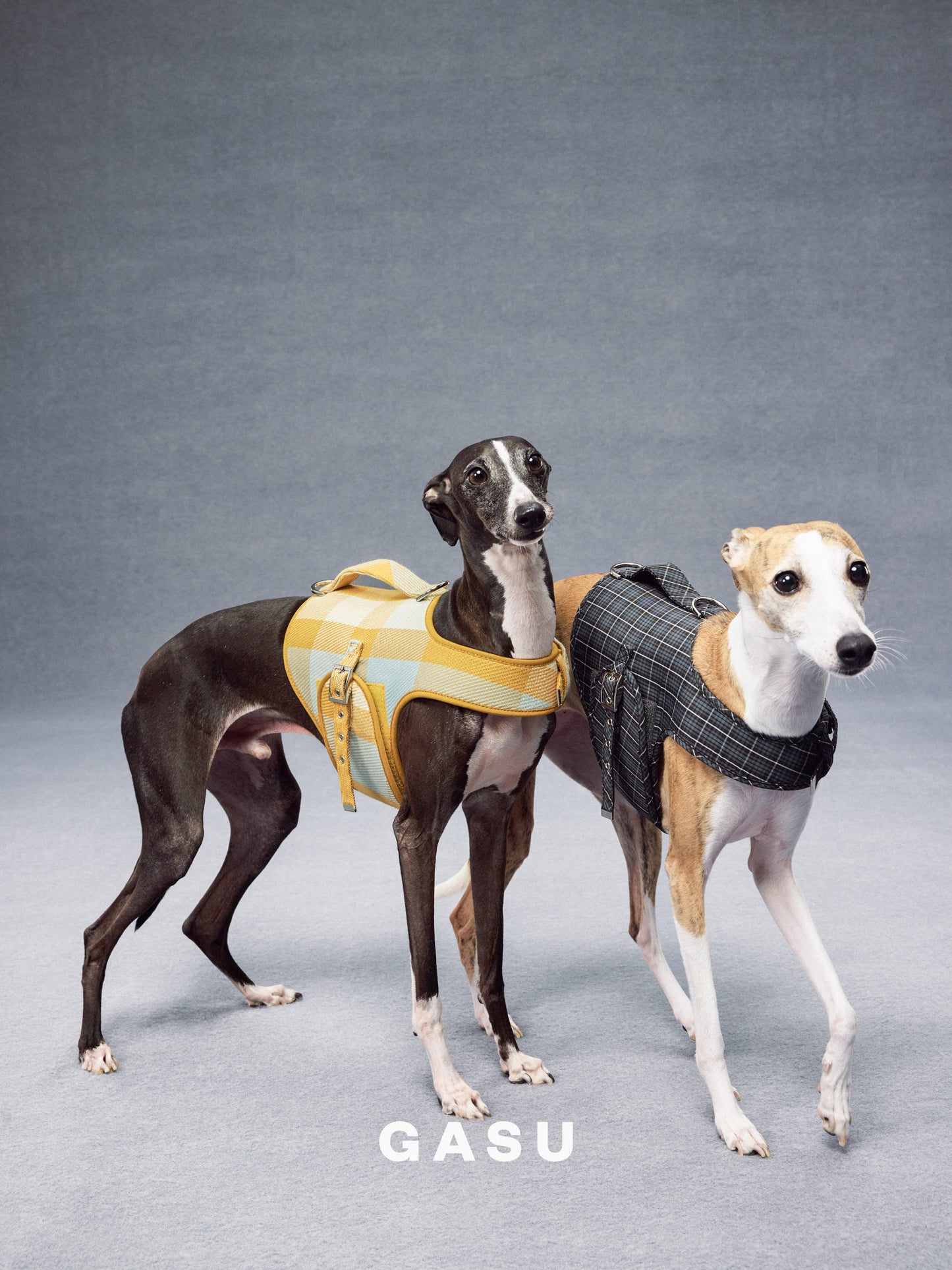 GASU Variété / [Sunwash Plaid] Structured Skin-friendly Breathable Adjustable Harness