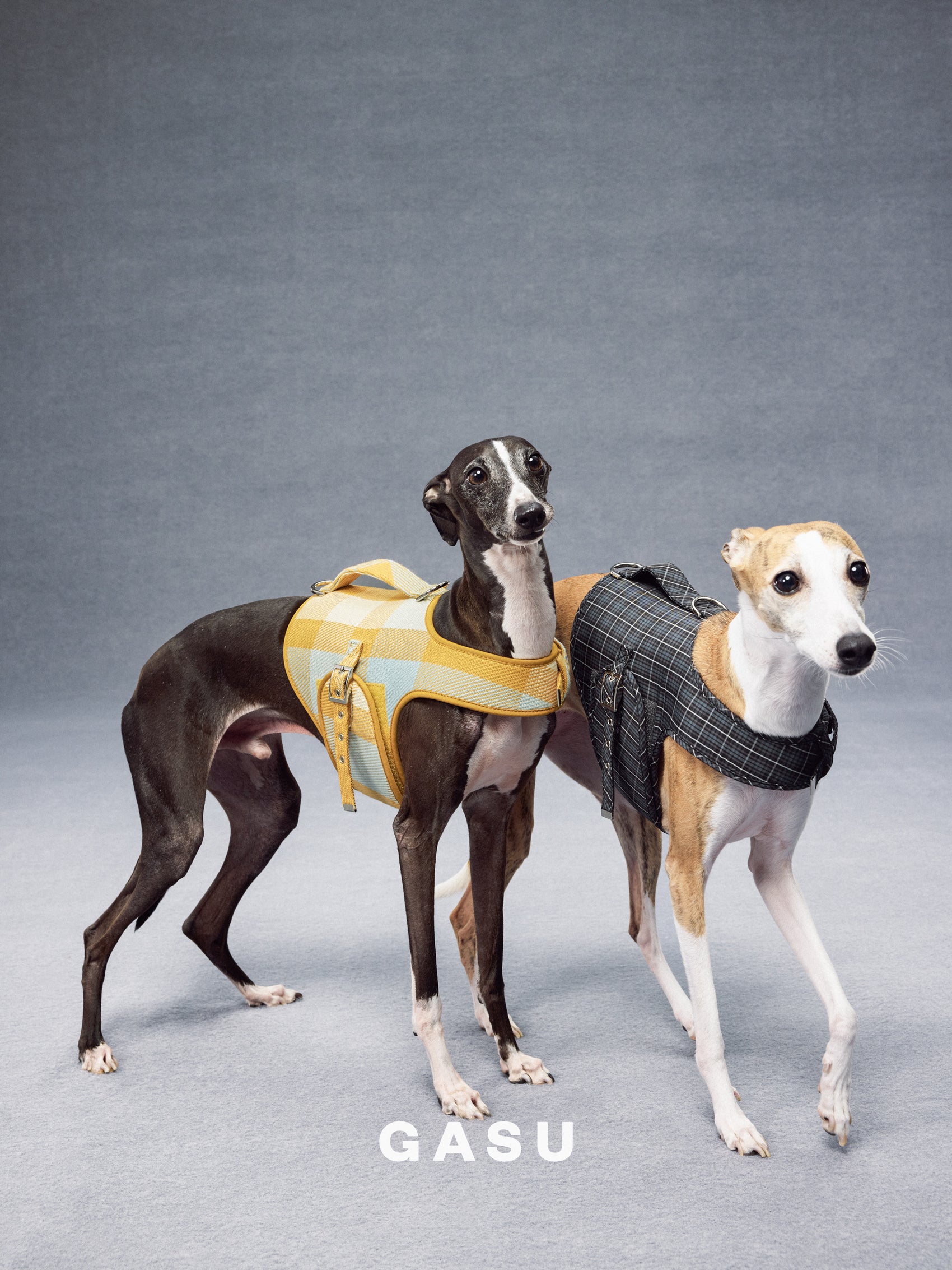 GASU Variété / [Sunwash Plaid] Structured Skin-friendly Breathable Adjustable Harness