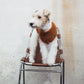 GASU Roseau / [Maple] Fine&Warm Alpaca Knit Vest
