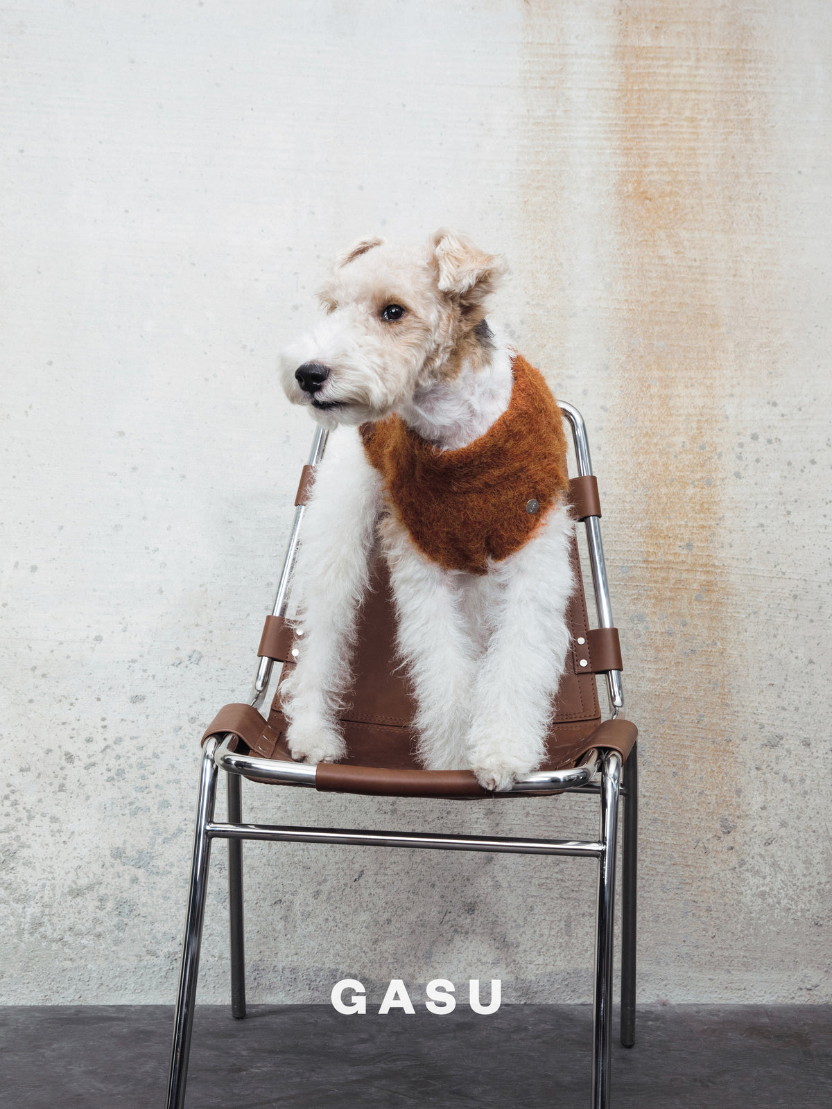 GASU Roseau / [Maple] Fine&Warm Alpaca Knit Vest
