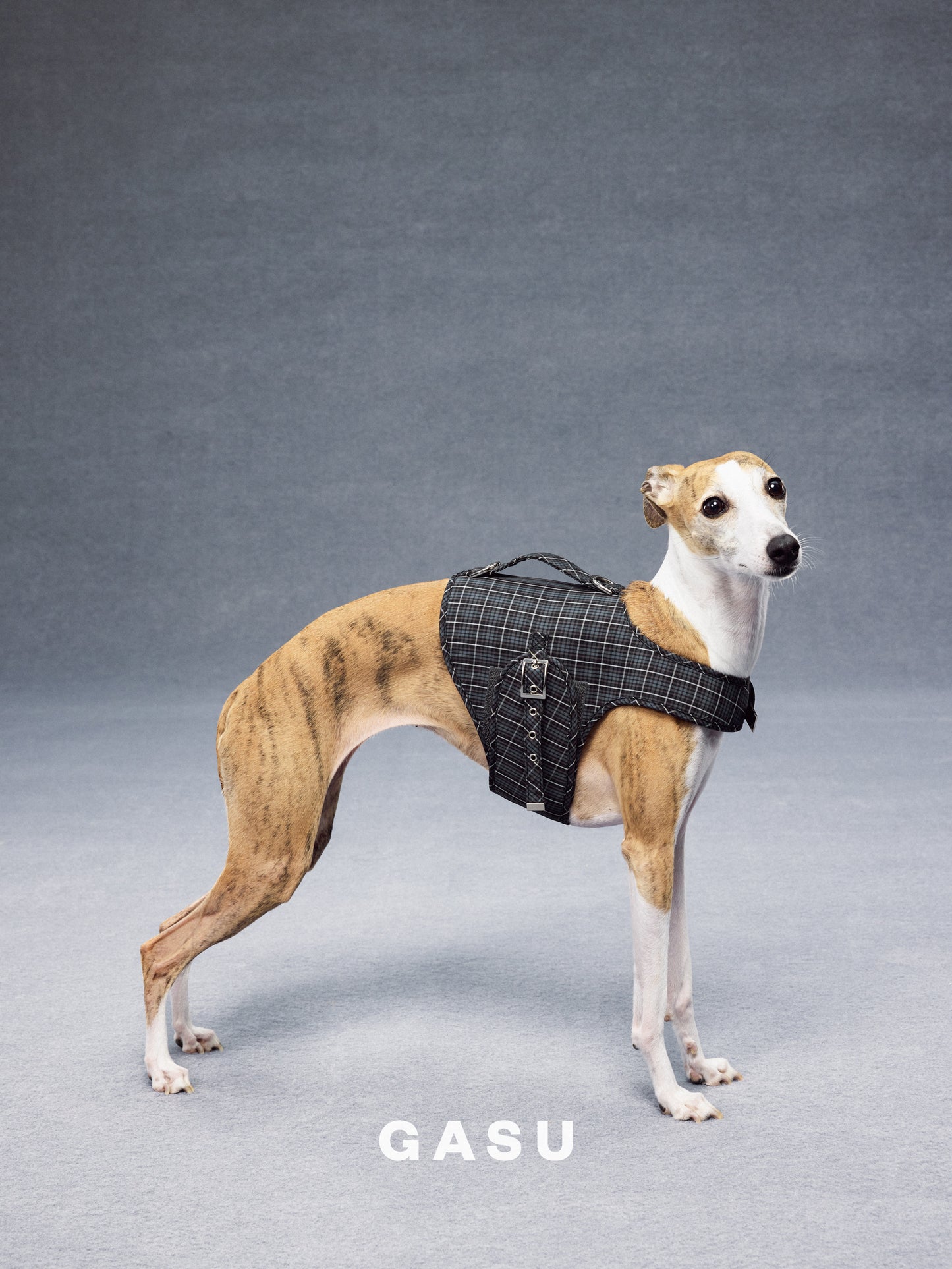 GASU Variété / [Gravel Check] Structured Skin-friendly Breathable Adjustable Harness