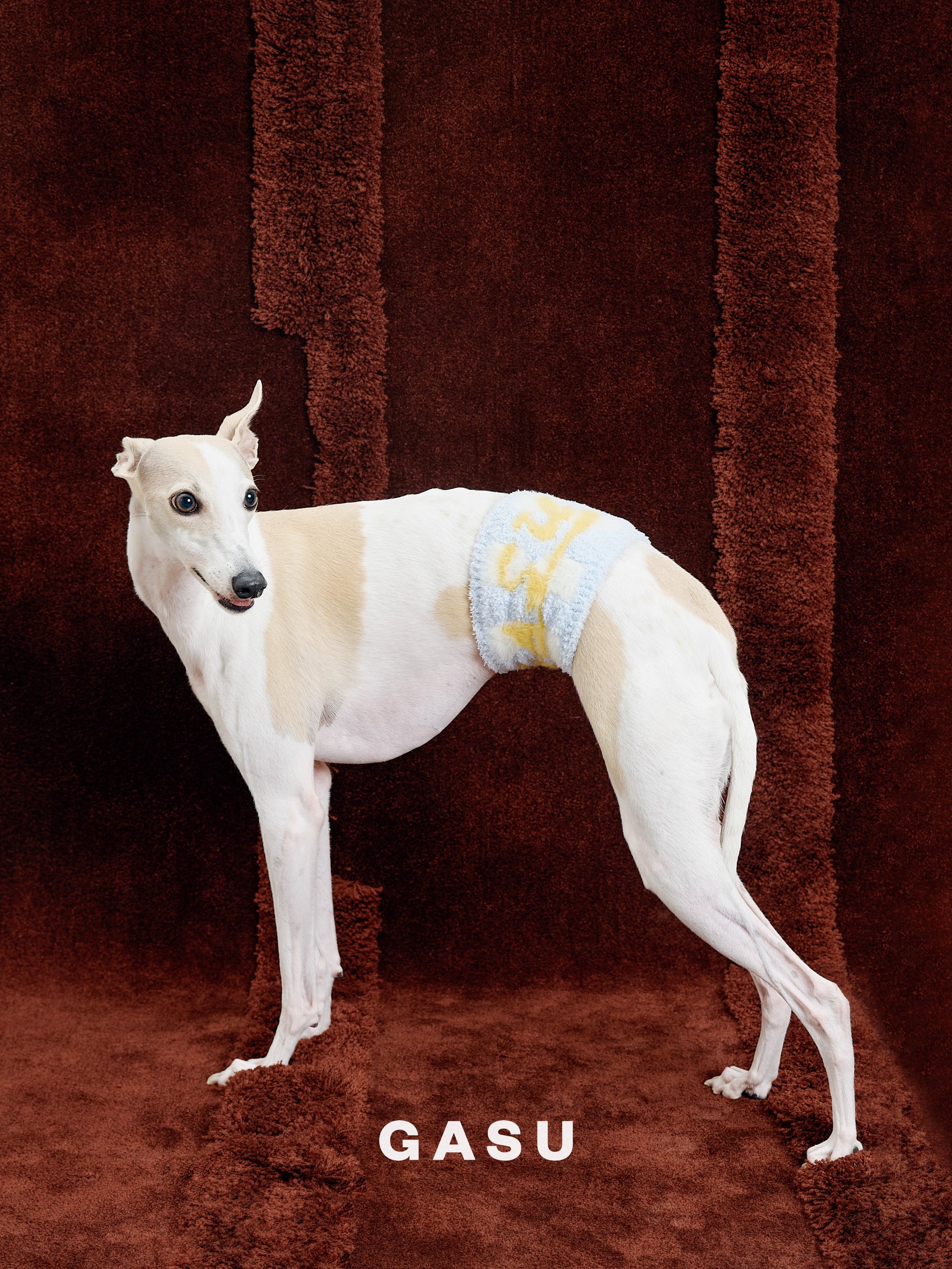 GASU Entourer / [2 colors] Anti-Static Soft Knit Fleece Belly-wrap