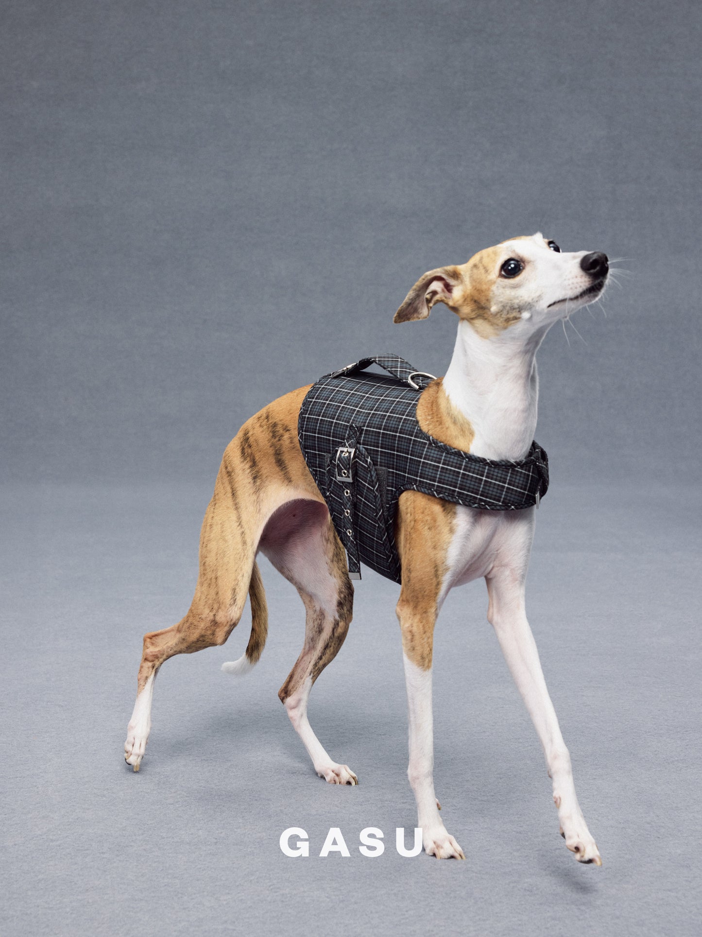 GASU Variété / [Gravel Check] Structured Skin-friendly Breathable Adjustable Harness