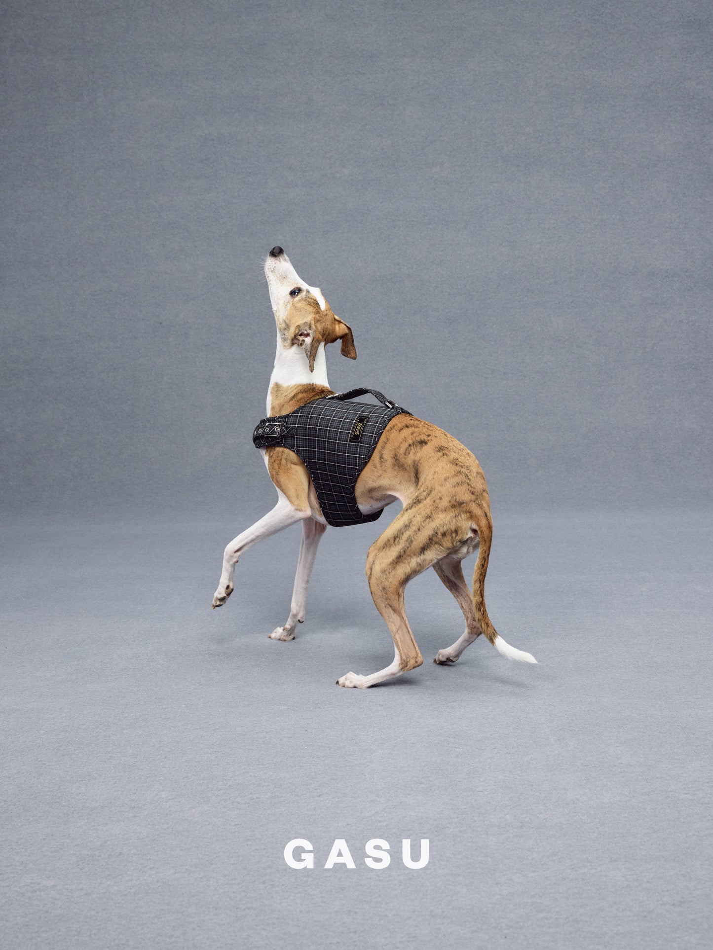 GASU Variété / [Gravel Check] Structured Skin-friendly Breathable Adjustable Harness