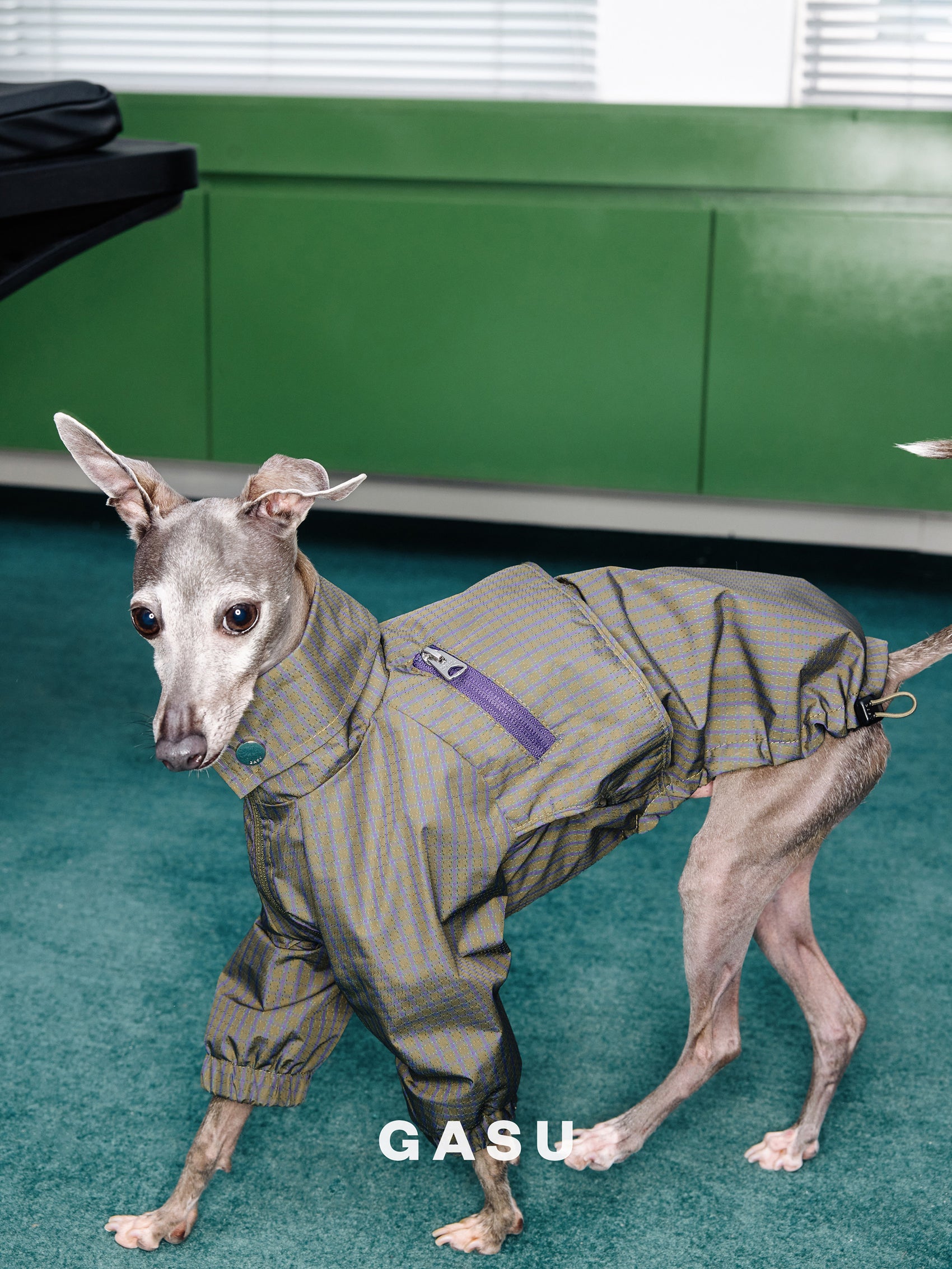GASU Variété / [Foggy Forest] Waterproof Athletic Cape Jacket