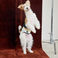 GASU Entourer / [2 colors] Anti-Static Soft Knit Fleece Belly-wrap