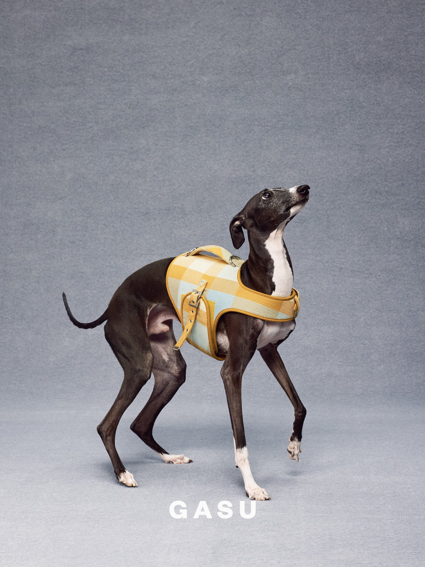 GASU Variété / [Sunwash Plaid] Structured Skin-friendly Breathable Adjustable Harness