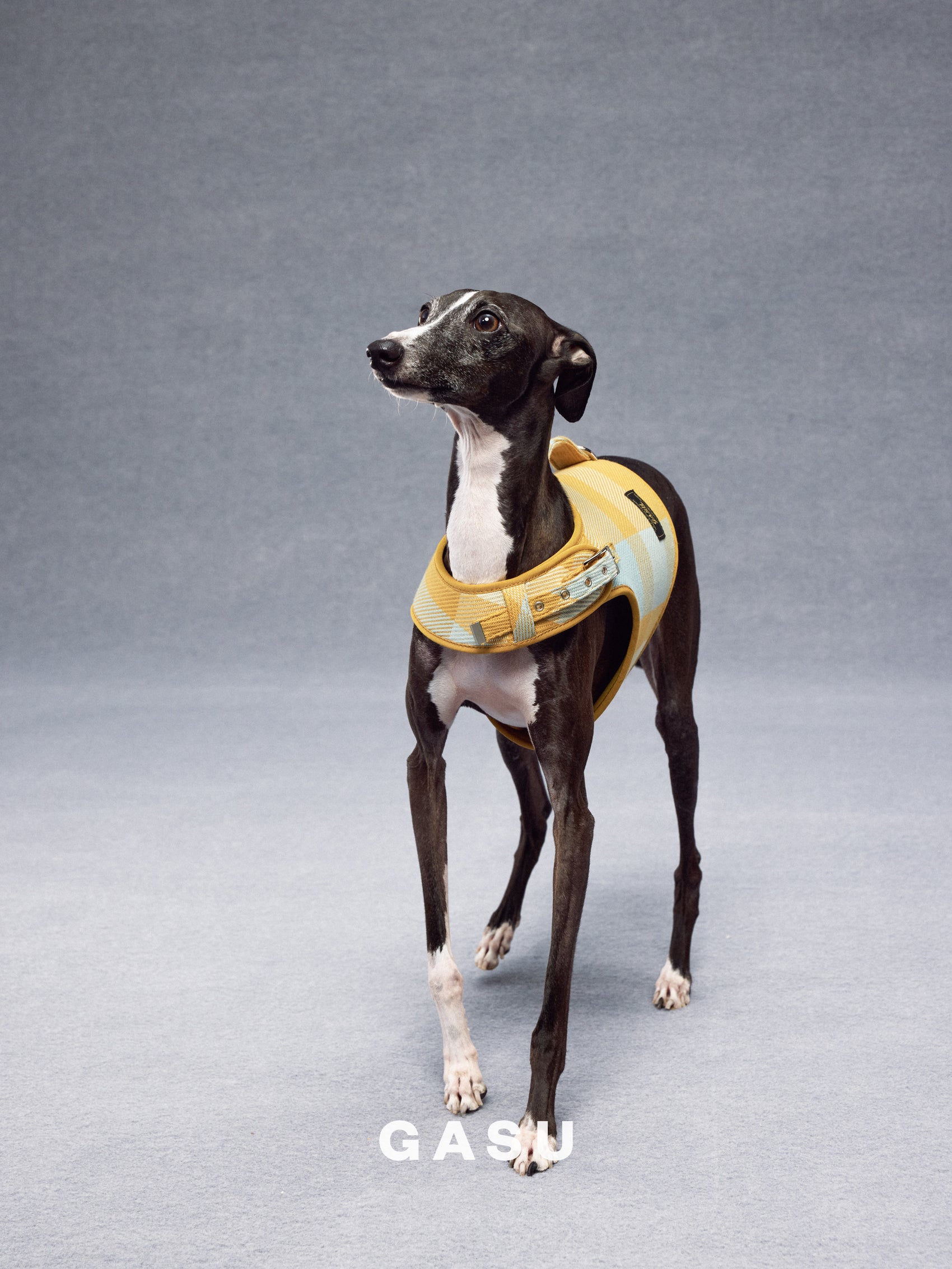 GASU Variété / [Sunwash Plaid] Structured Skin-friendly Breathable Adjustable Harness