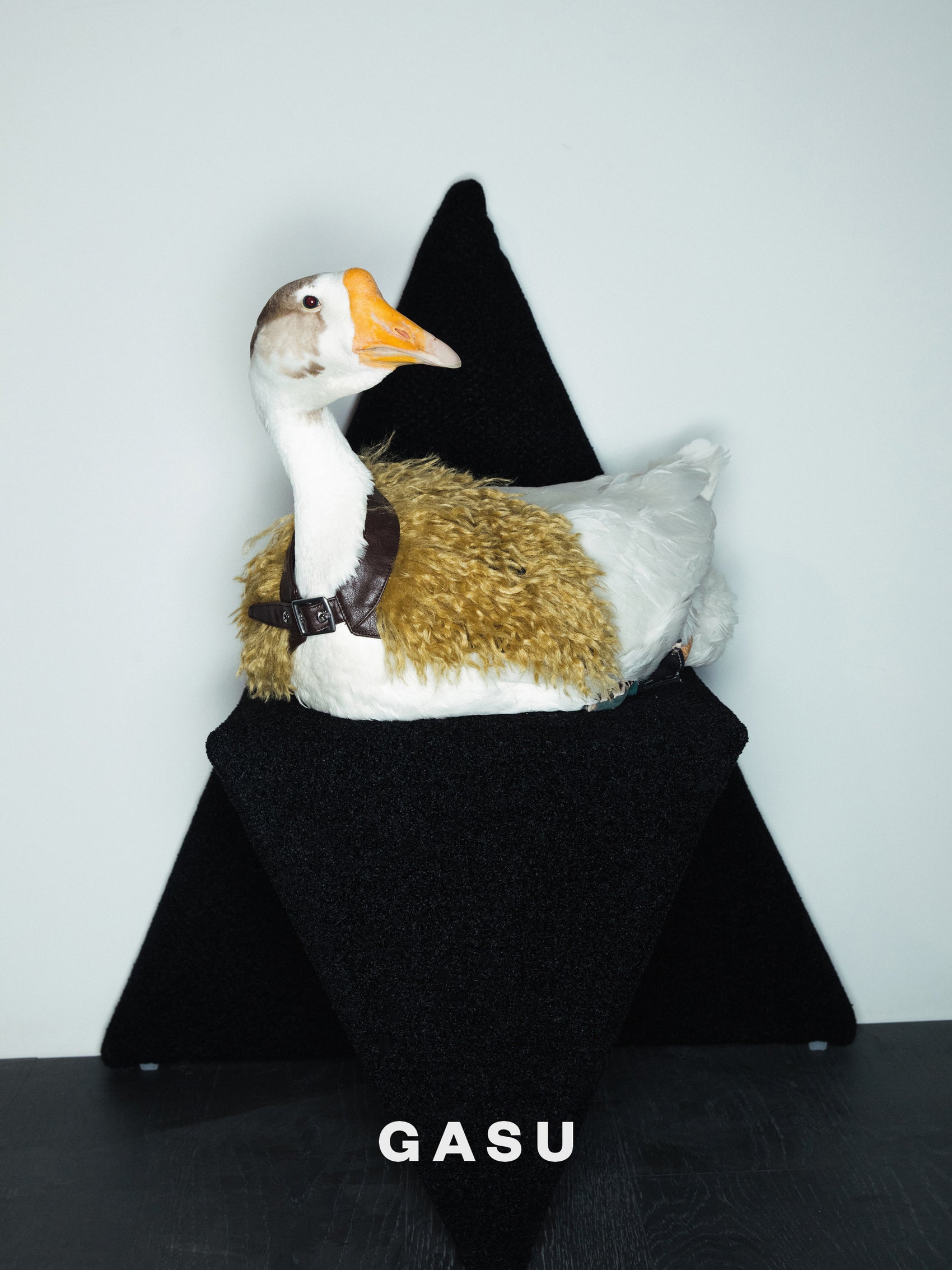 GASU Couronne / [3 Colors] Handcrafted Faux Fur Leather Cloak