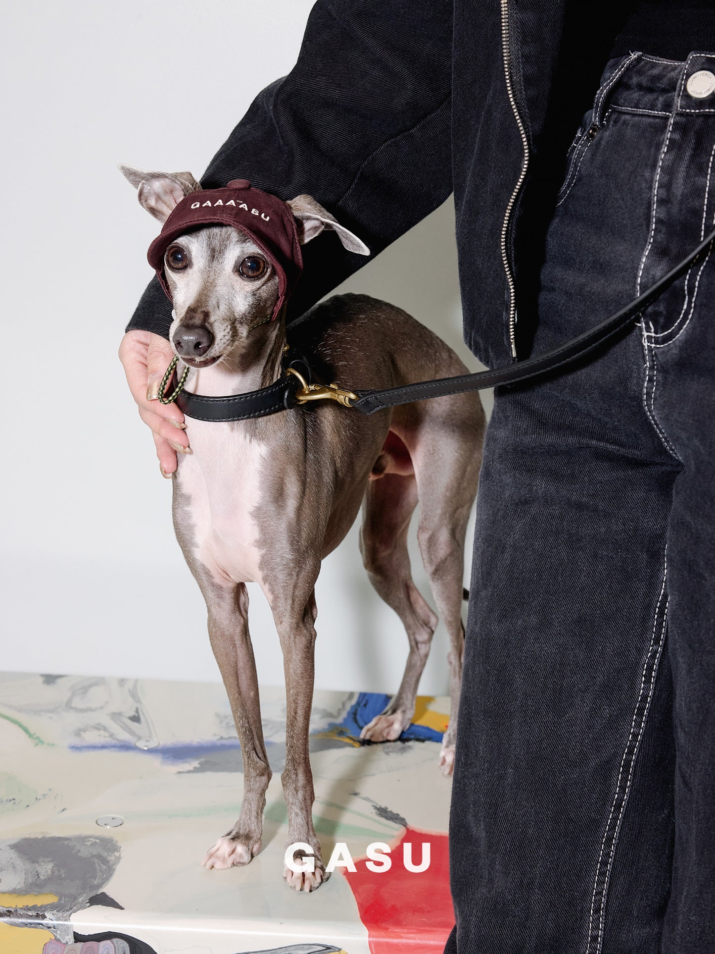 GASU Moi /  [4 Colors] Small Letters Embroidered Pet & Human Sunshade Baseball Cap
