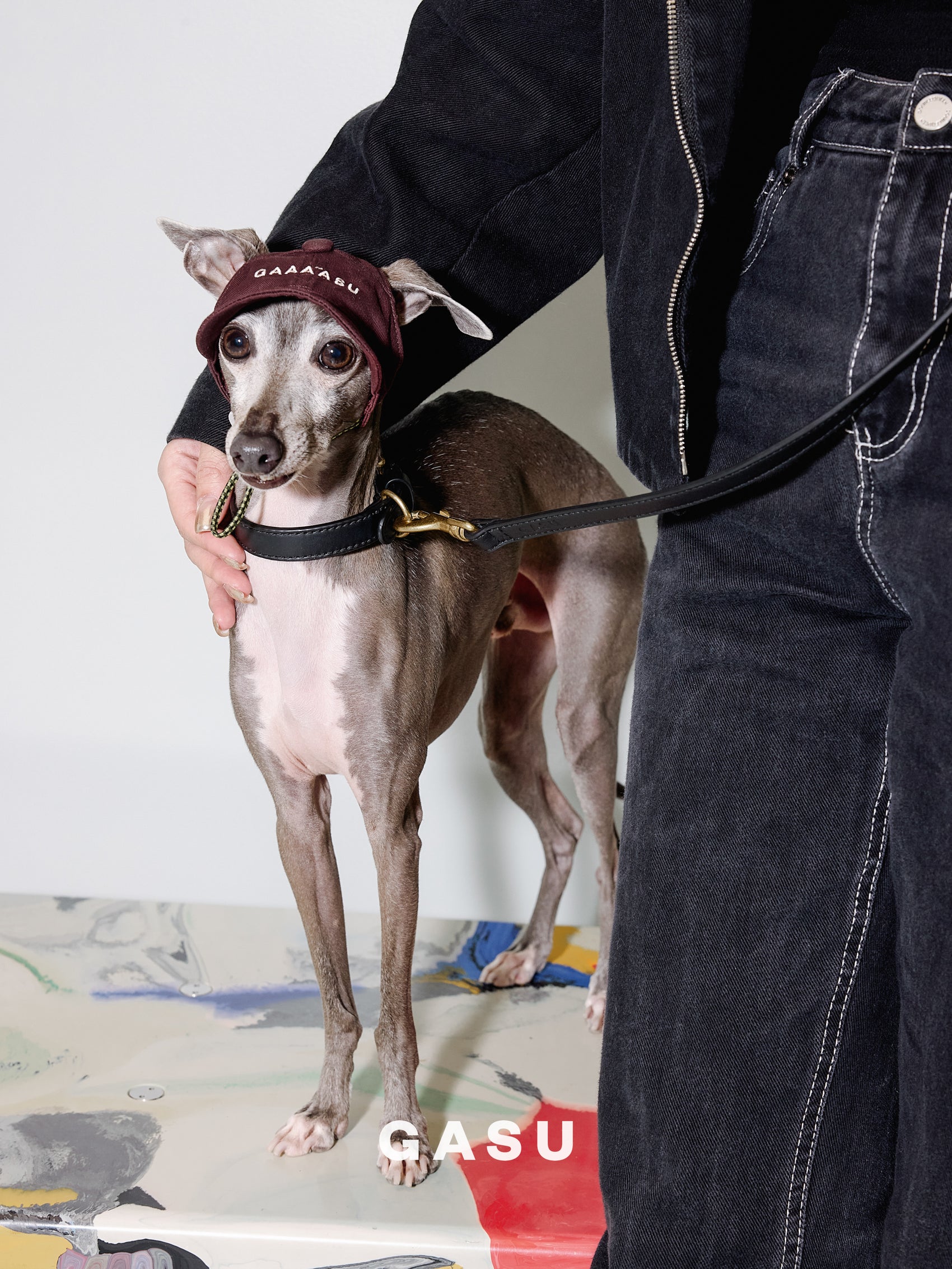 GASU Moi /  [4 Colors] Small Letters Embroidered Pet & Human Sunshade Baseball Cap