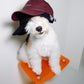 GASU Moi /  [4 Colors] Small Letters Embroidered Pet & Human Sunshade Baseball Cap