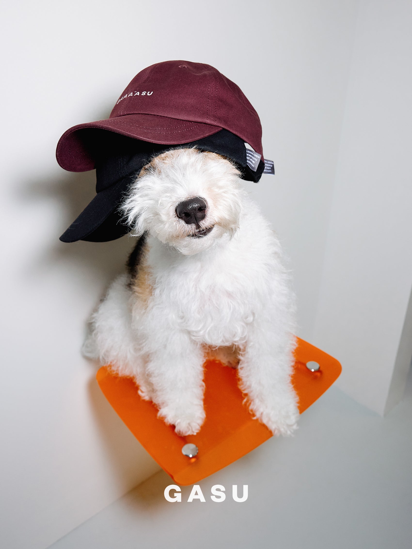 GASU Moi /  [4 Colors] Small Letters Embroidered Pet & Human Sunshade Baseball Cap