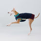 GASU Variété /  [2 Colors] Color Block Athletic Vest Dress