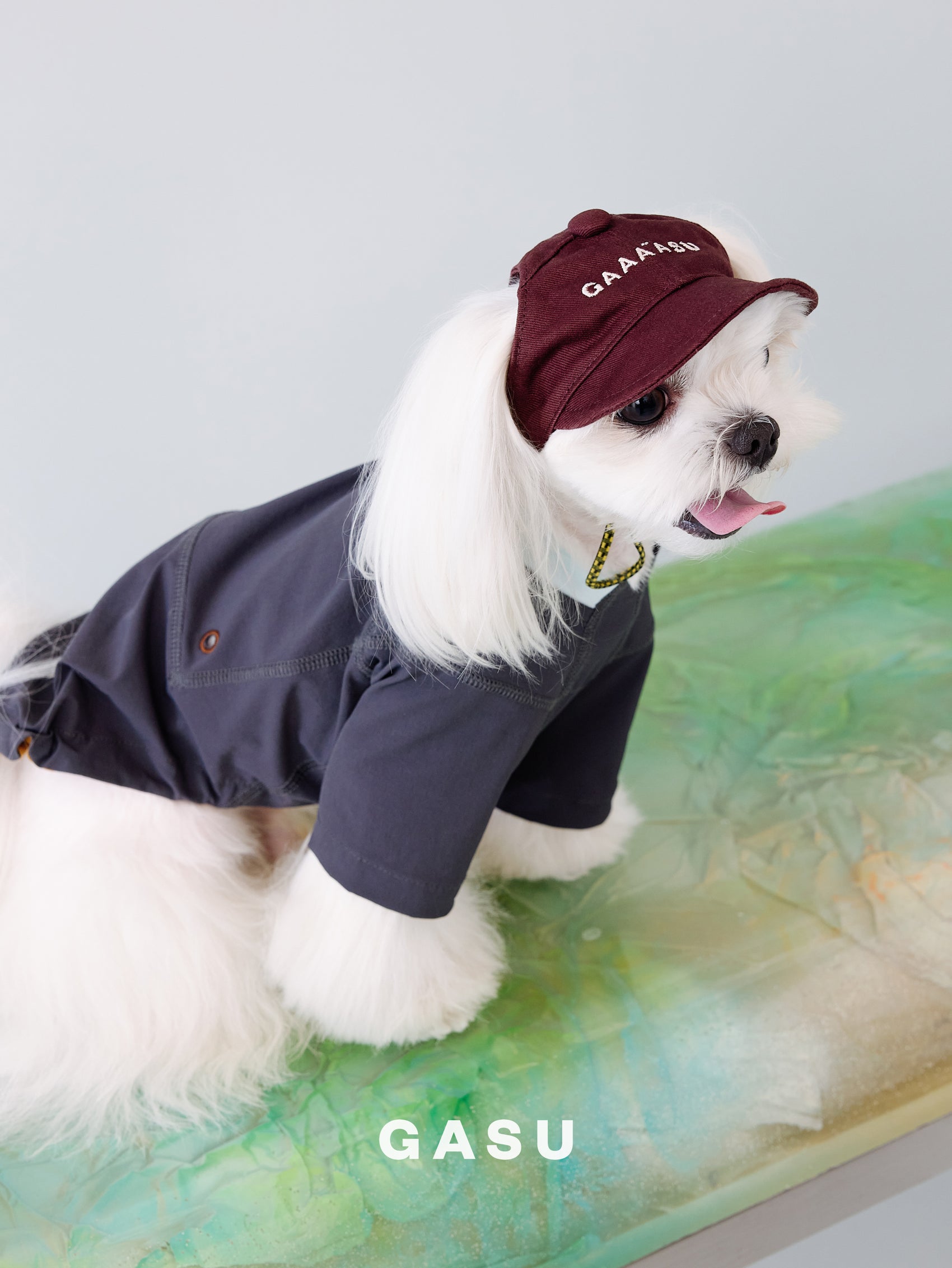 GASU Variété /  [2 Colors] UPF50+Anti-UV Cooling Waterproof T-Shirt