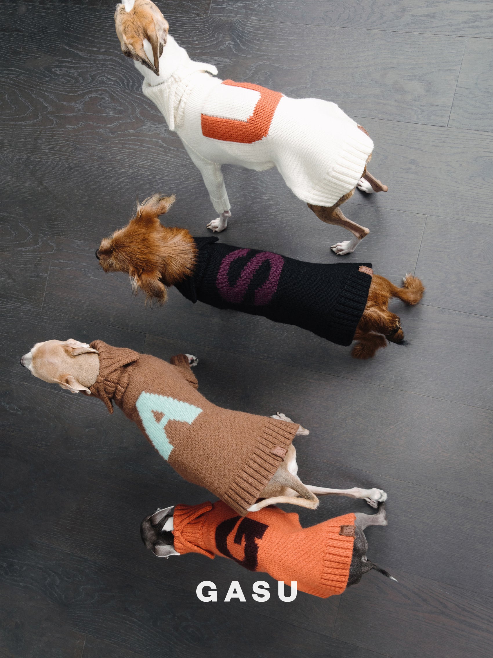 GASU® Svelte / [4 Colors] Vintage Letter Iggy 2-Legged Wool Sweater
