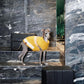 GASU Roseau / [Bud] Fine&Warm Alpaca Knit Vest