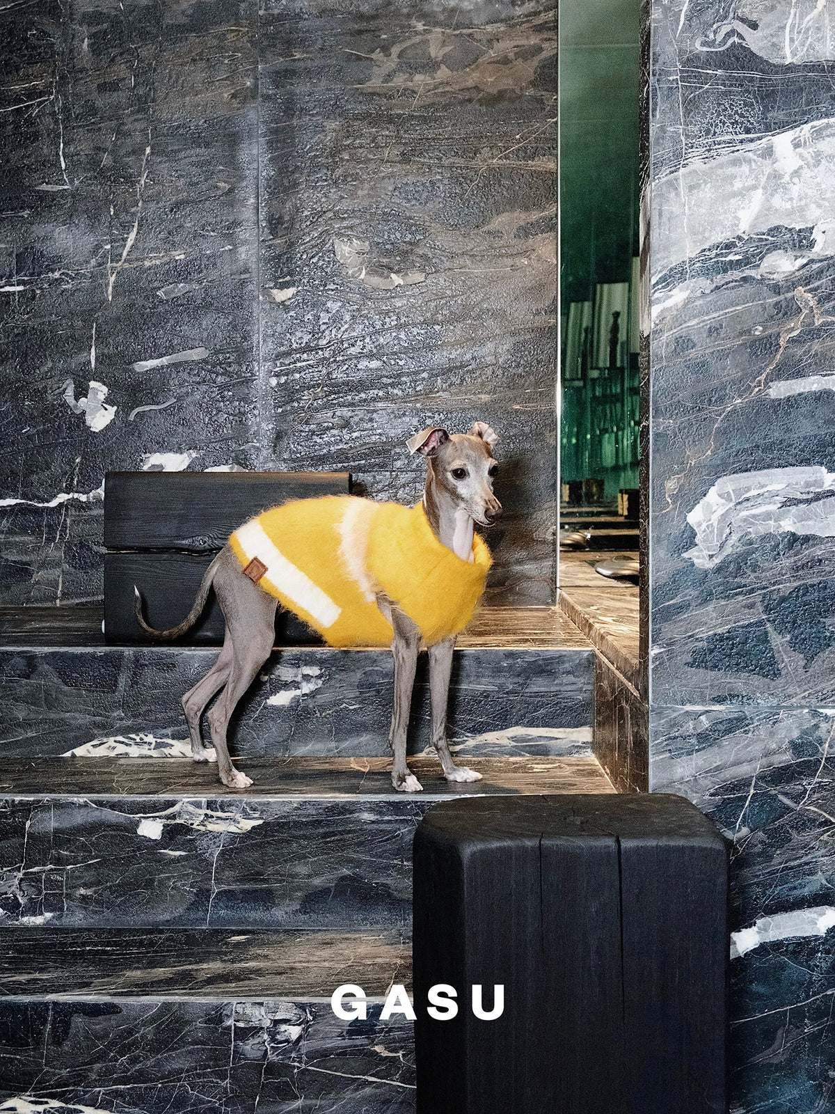 GASU Roseau / [Bud] Fine&Warm Alpaca Knit Vest
