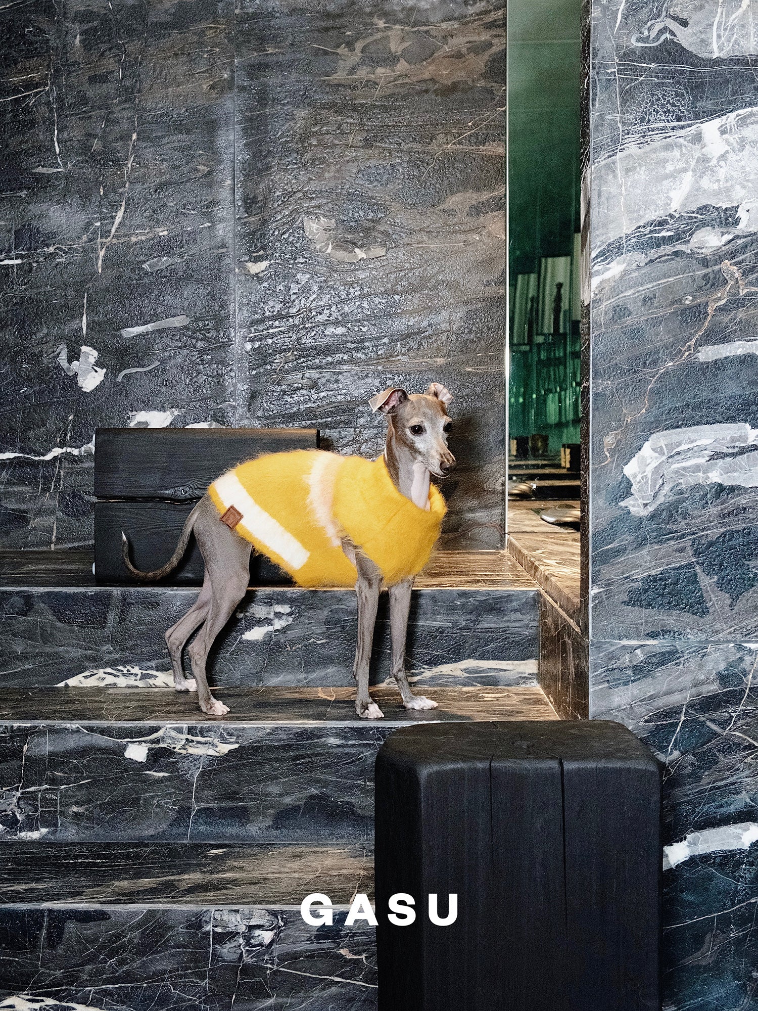 GASU Roseau / [Bud] Fine&Warm Alpaca Knit Vest